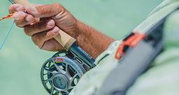 Rod Finder